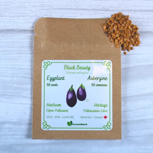 Black Beauty Eggplant Seeds