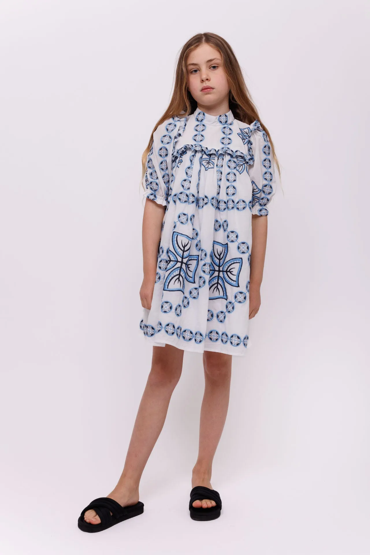 Olivia Rohde Blue Printed Dress