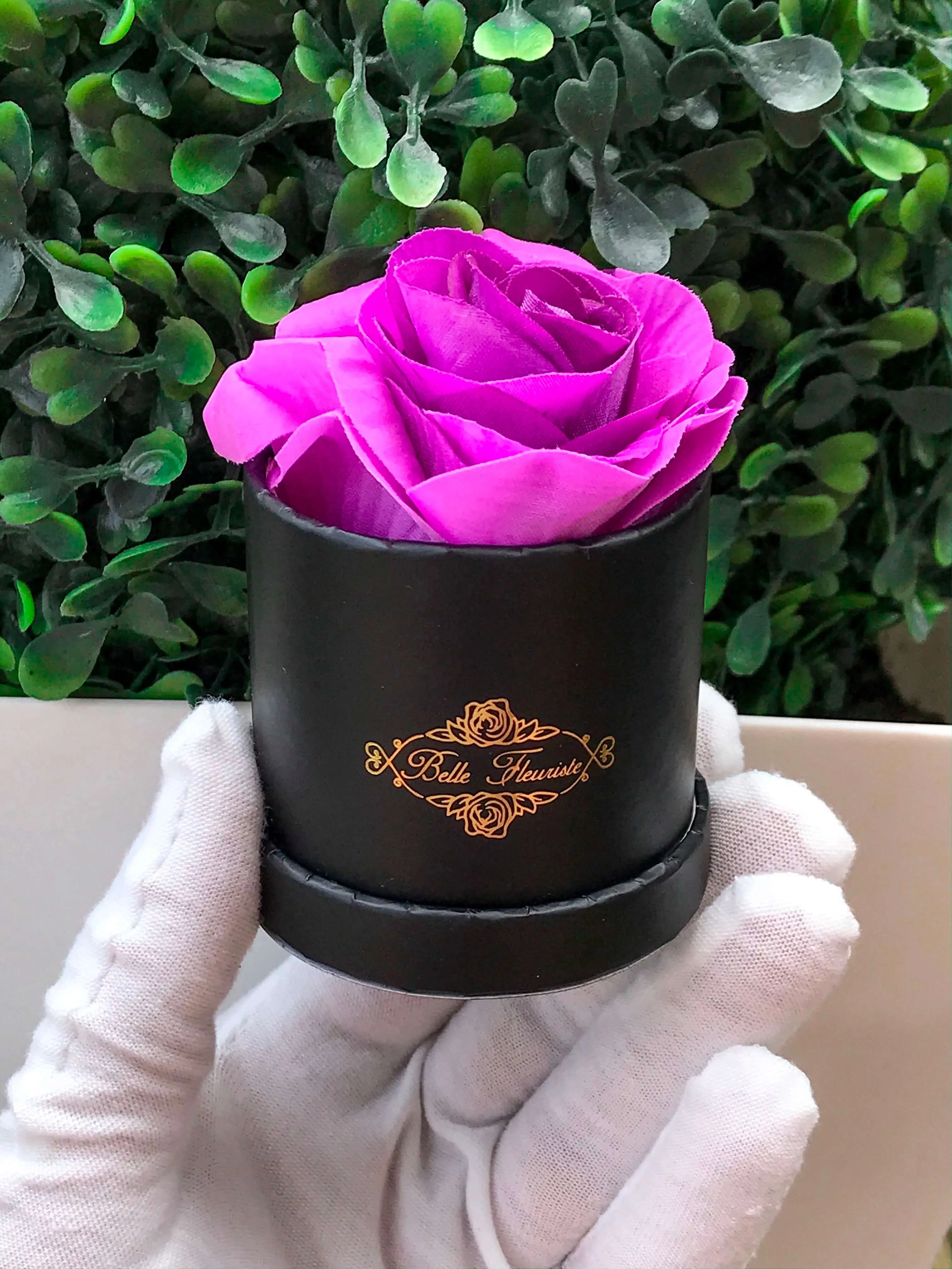 Purple Classic Micro Mini - Black Box